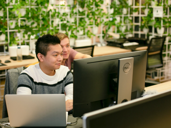 Developers coding together